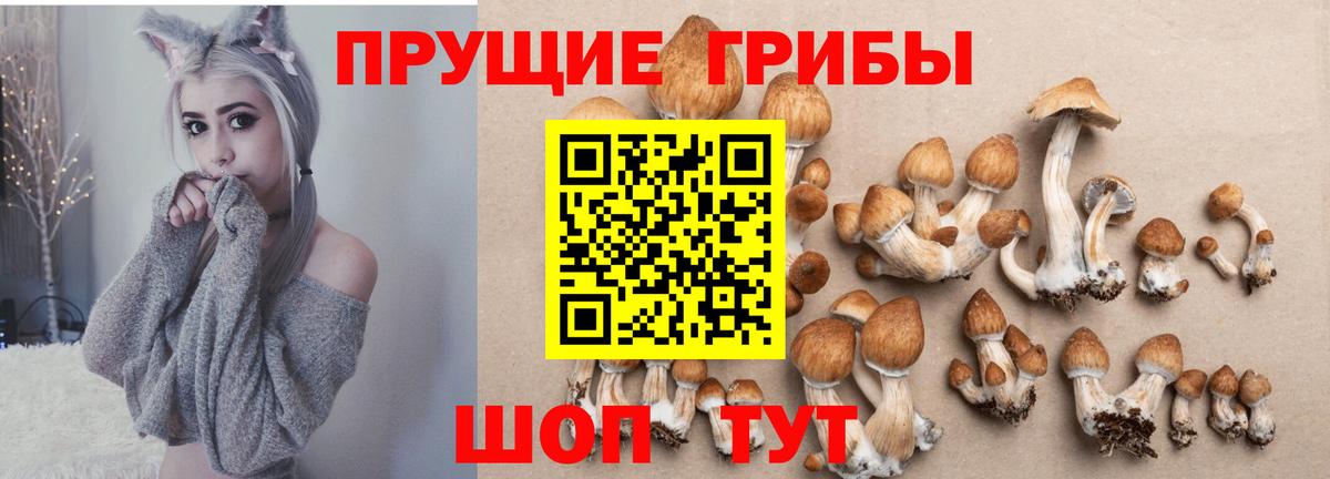 Кандалакша  Псилоцибиновые грибы MAGIC MUSHROOMS  дарнет шоп  Вход с VPN 